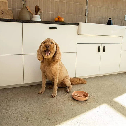 Slow Feeder Bowl/ Anti-Slip - Pup List