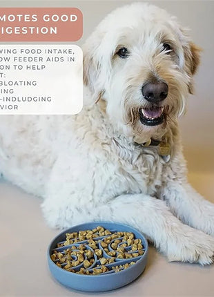 Slow Feeder Bowl/ Anti-Slip - Pup List