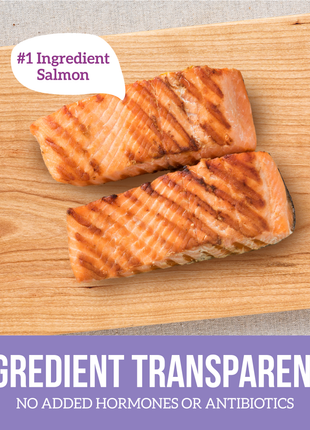 Grain Free 95% Salmon