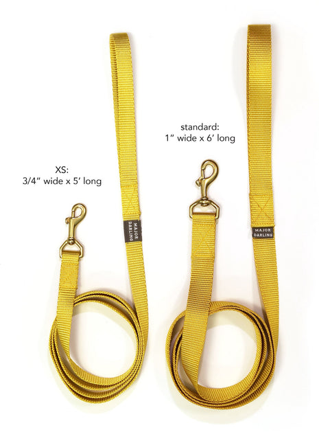 not-so-basic leash / leopard