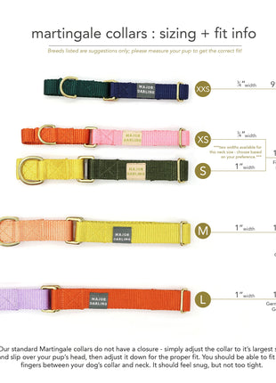 martingale collar / orange + lilac