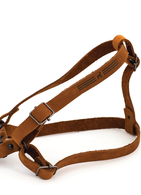 Sport Style Leather Step In Harness