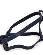Sport Style Leather Step In Harness