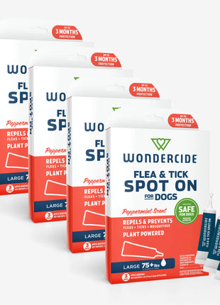 12-Month Flea & Tick Spot On for Dogs + Cats