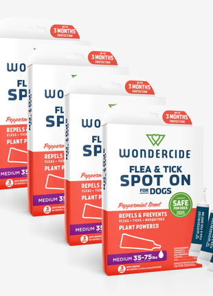12-Month Flea & Tick Spot On for Dogs + Cats