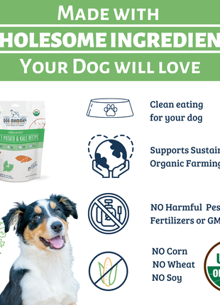 Dog Mamma's Organic Sweet Potato & Kale Recipe - USDA Organic Certified Dog Treats