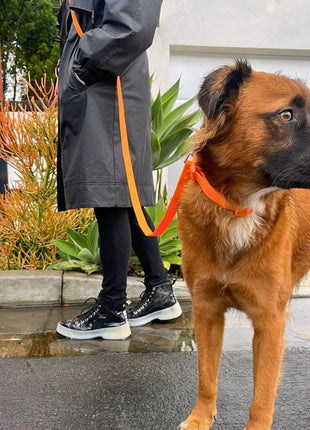 PVC Handsfree Dog Leash - All Weather Waterproof Durable & Odor-Resistant