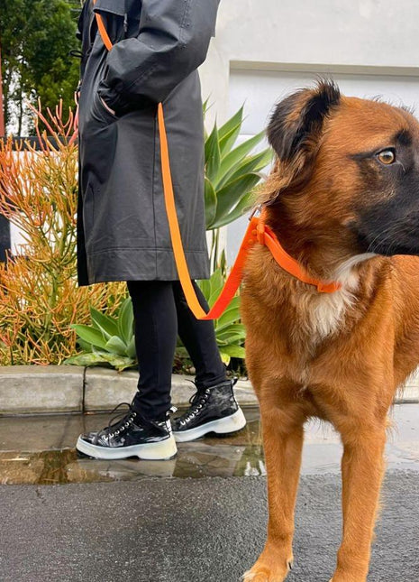 PVC Handsfree Dog Leash - All Weather Waterproof Durable & Odor-Resistant