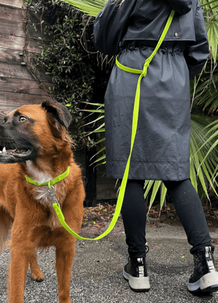 Tilley + Me PVC Dog Collar - All Weather Waterproof Durable & Odor-Resistant - Pup List