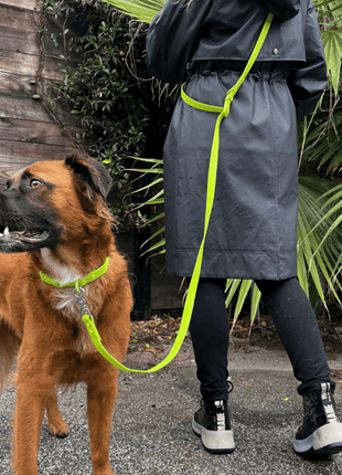 PVC Handsfree Dog Leash - All Weather Waterproof Durable & Odor-Resistant