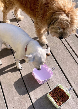 Compact Foldable Pet Food & Water Bowl – Ideal for Travel