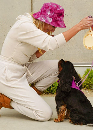 Collapsible Double Pet Bowl – Lightweight & Portable for Travel