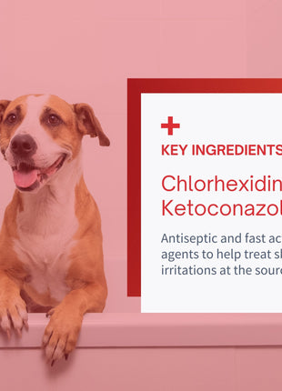 Anti-Fungal & Anti-Bacterial Shampoo for Dogs & Cats - 8oz - Pup List