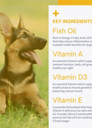 Advanced Omega-3 Liquid for Dogs & Cats - Fish Oil with Vitamins - 12oz