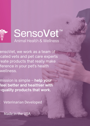 Multivitamin for Dogs - Essential Canine Blend - 60 Soft Chews