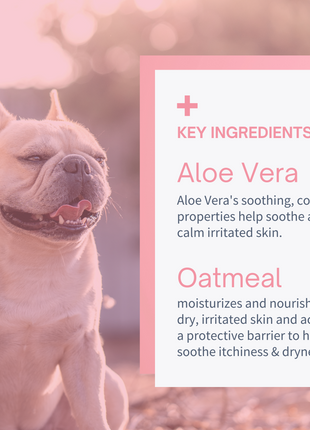 Wrinkles, Skin & Paw Cleaning Soothing Wipes for Dogs - 60 Wipes