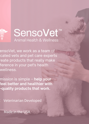 Wrinkles, Skin & Paw Cleaning Soothing Wipes for Dogs - 60 Wipes