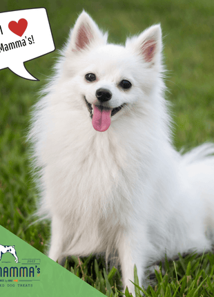 Dog Mamma's Organic Sweet Potato & Kale Recipe - USDA Organic Certified Dog Treats