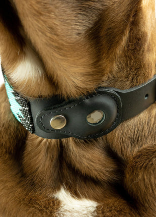 Saint Barth Sambboho dog collar (with AirTag holder)