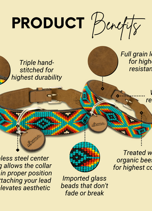 Bahamas Sambboho dog collar (with center D-ring)