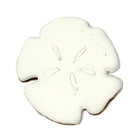 Sand Dollar