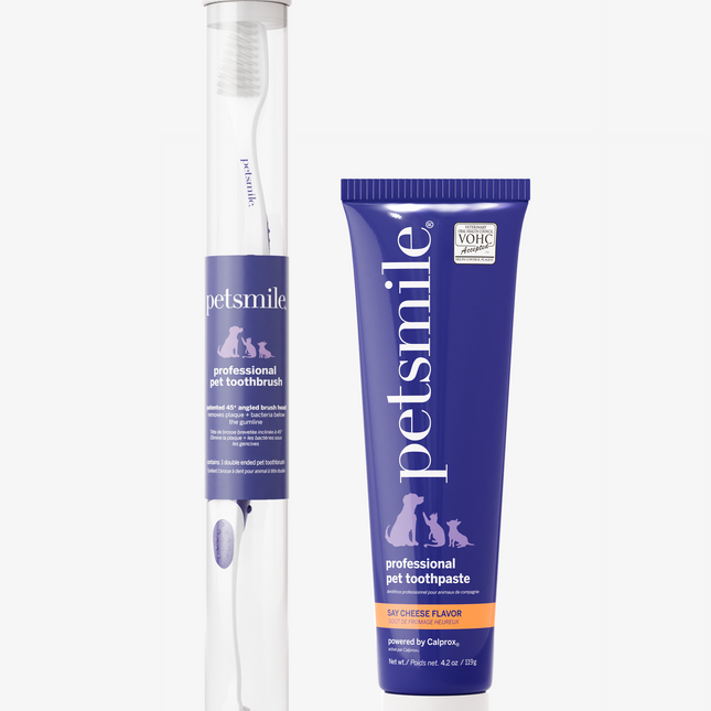 Professional Toothpaste Say Cheese Large & Professional Pet Toothbrush