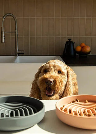 Slow Feeder Bowl/ Anti-Slip - Pup List