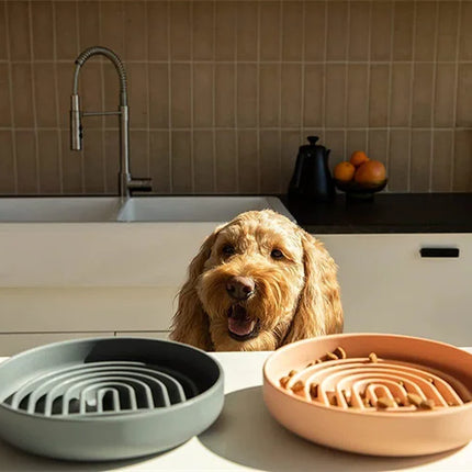 Slow Feeder Bowl/ Anti-Slip - Pup List