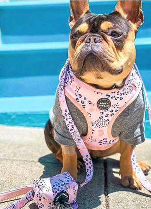 Spotted in the City Adjustable Harness