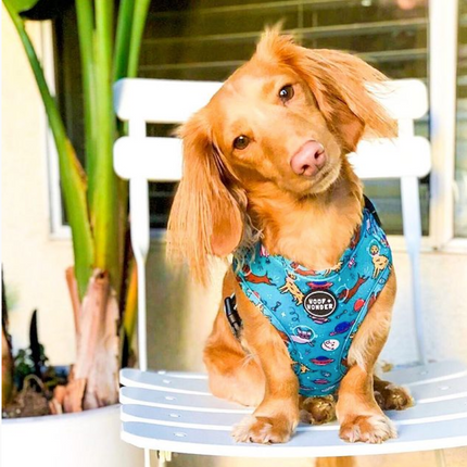 Space Dogs Adjustable Harness