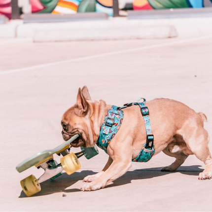Space Dogs Adjustable Harness
