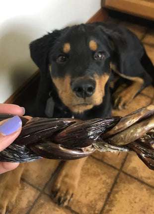 6 Inch Braided Jerky Stick