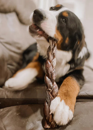 12 Inch Braided Jerky Stick