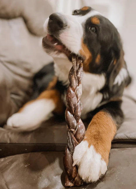 12 Inch Braided Jerky Stick