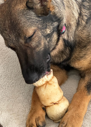 5-6 Inch Peanut Butter Cheek Roll