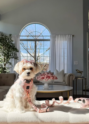 3-in-1 City Dog Leash - Sweetheart