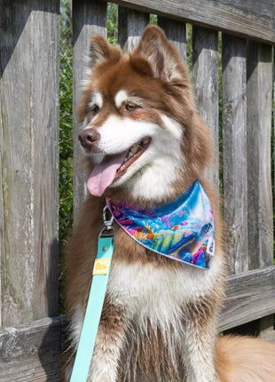 Sea Turtle Swim Dog Bandana