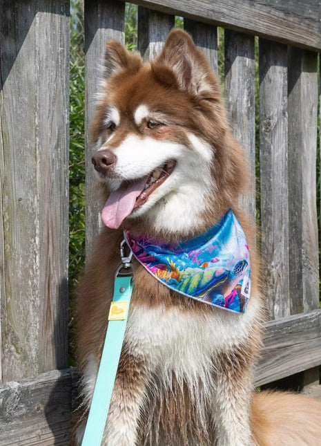 Sea Turtle Swim Dog Bandana
