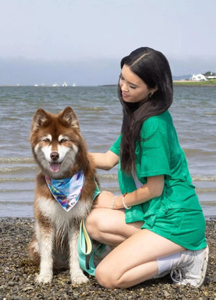 Sea Turtle Swim Dog Bandana