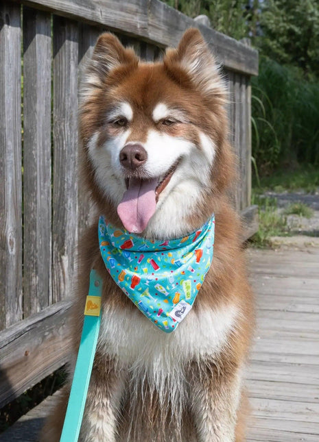 Seaside Sips Dog Bandana