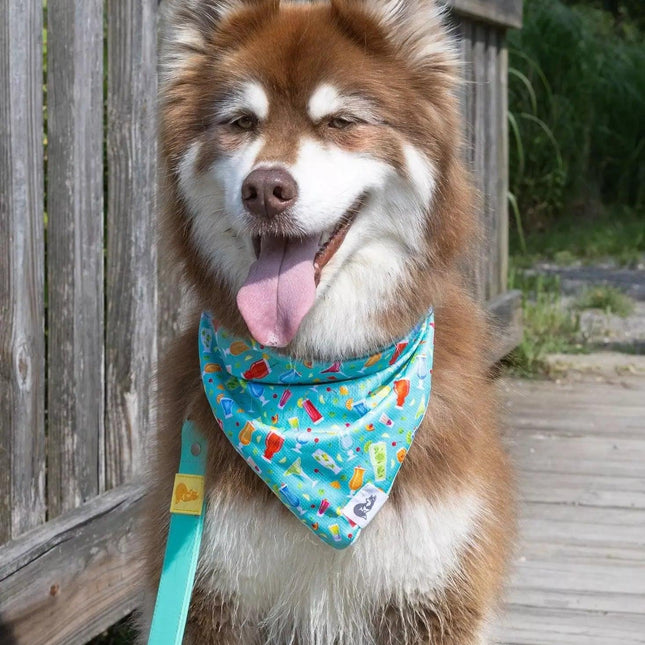 Seaside Sips Dog Bandana