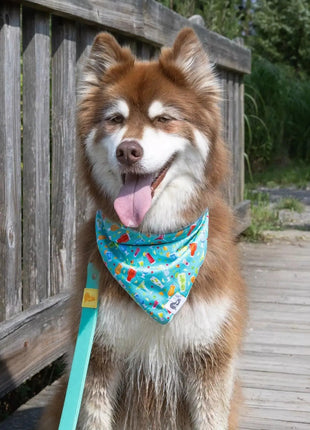 Seaside Sips Dog Bandana & Matching Keychain