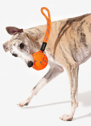Wicked Ball Air Rope - Pup List