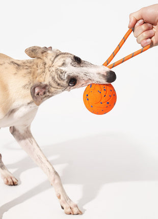 Wicked Ball Air Rope - Pup List