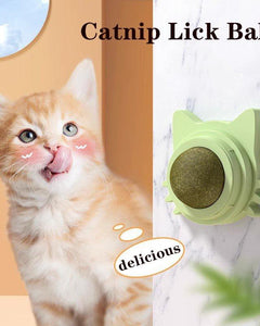 Collection image for: Cat Food & Treats