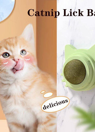Catnip Rolling Ball