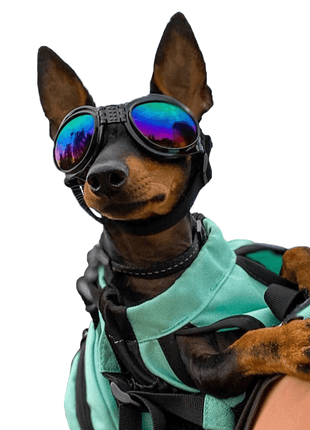 K9 Sport Shades - Dog Goggles
