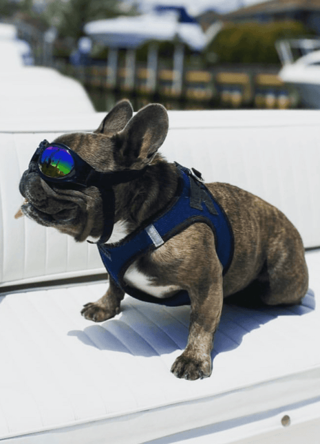K9 Sport Shades - Dog Goggles
