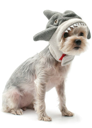 Shark Hat