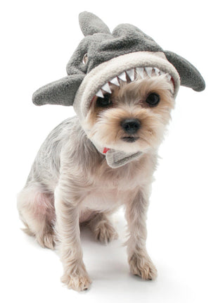 Shark Hat